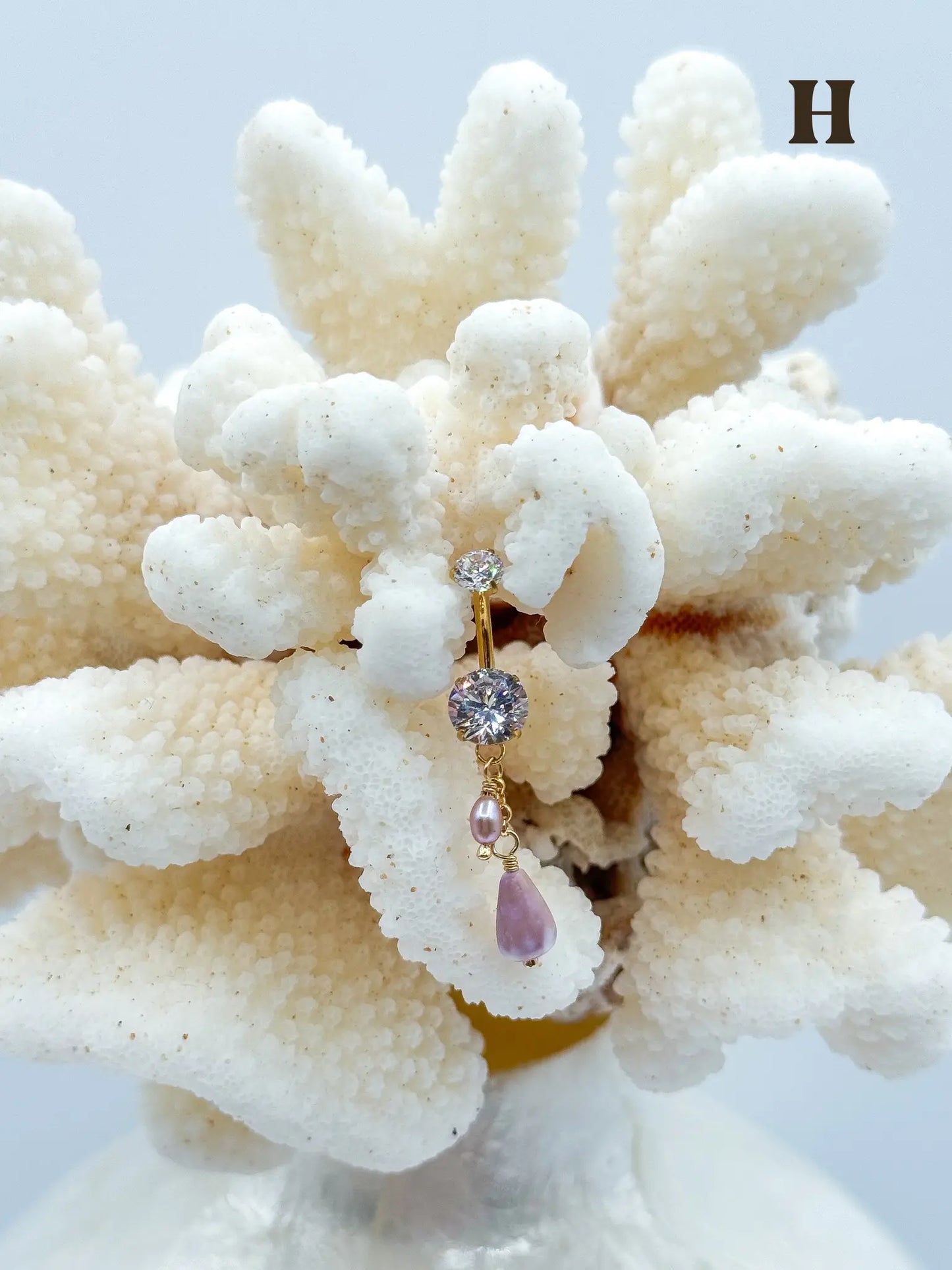 Shell PIKO RINGS Navea Maui