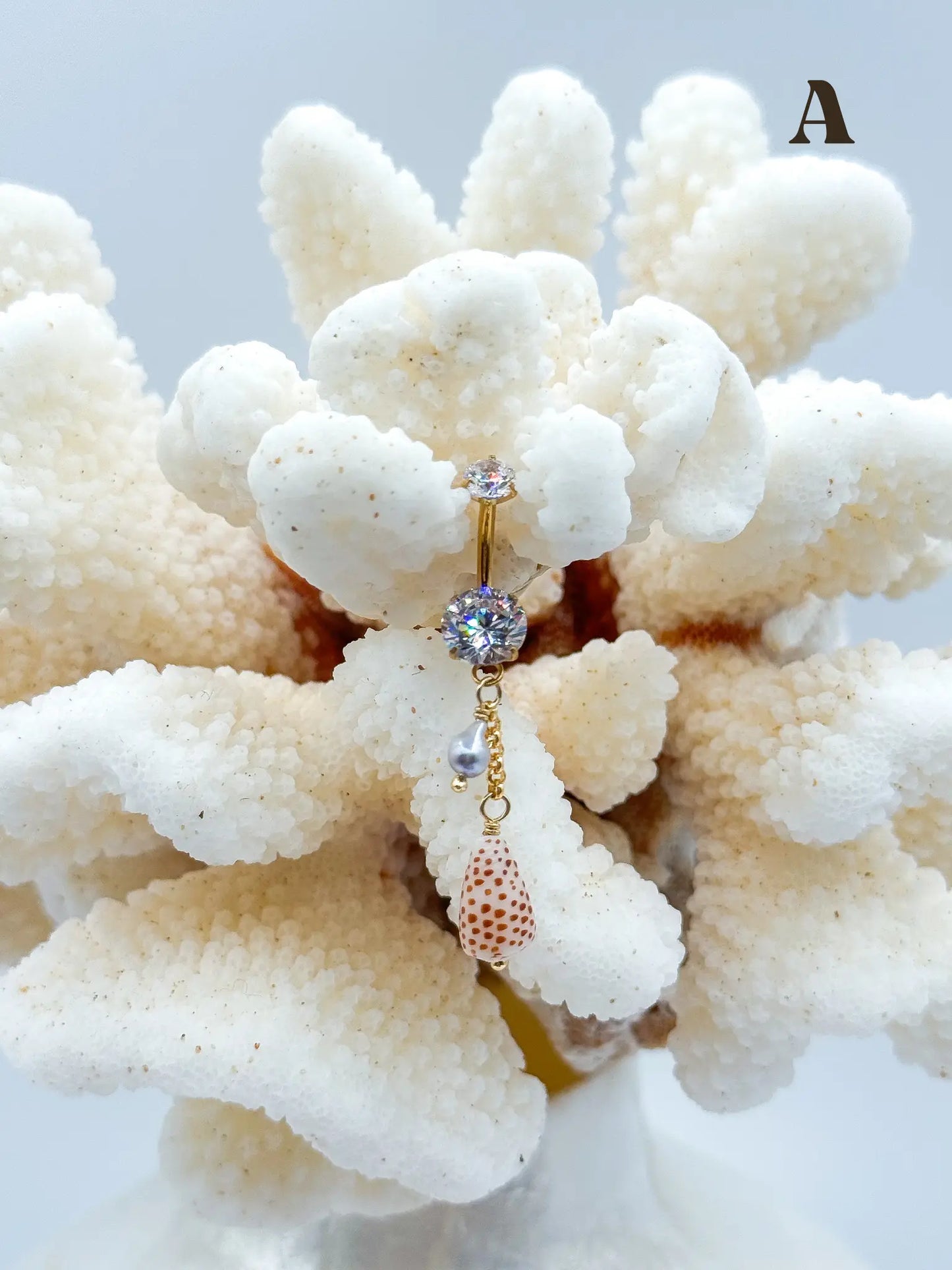 Shell PIKO RINGS Navea Maui