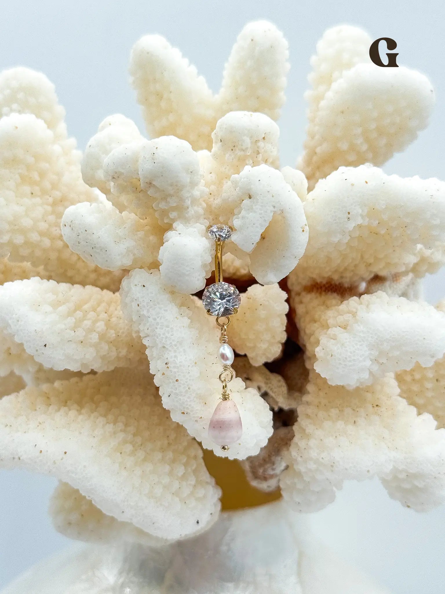 Shell PIKO RINGS Navea Maui