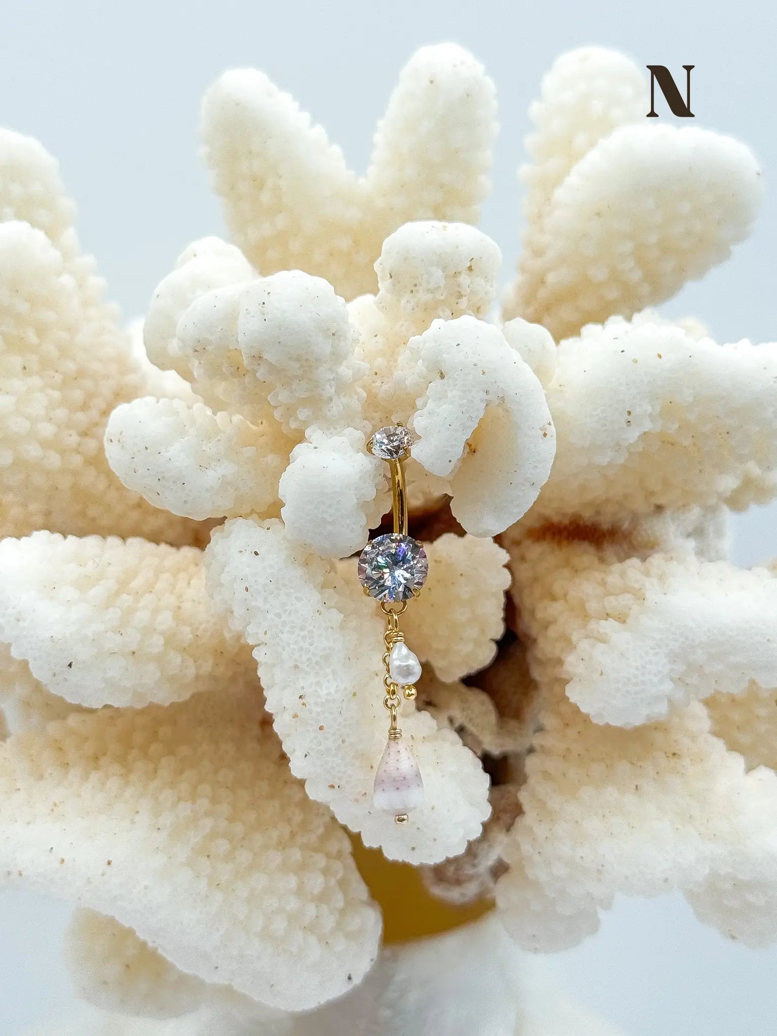 Shell PIKO RINGS Navea Maui