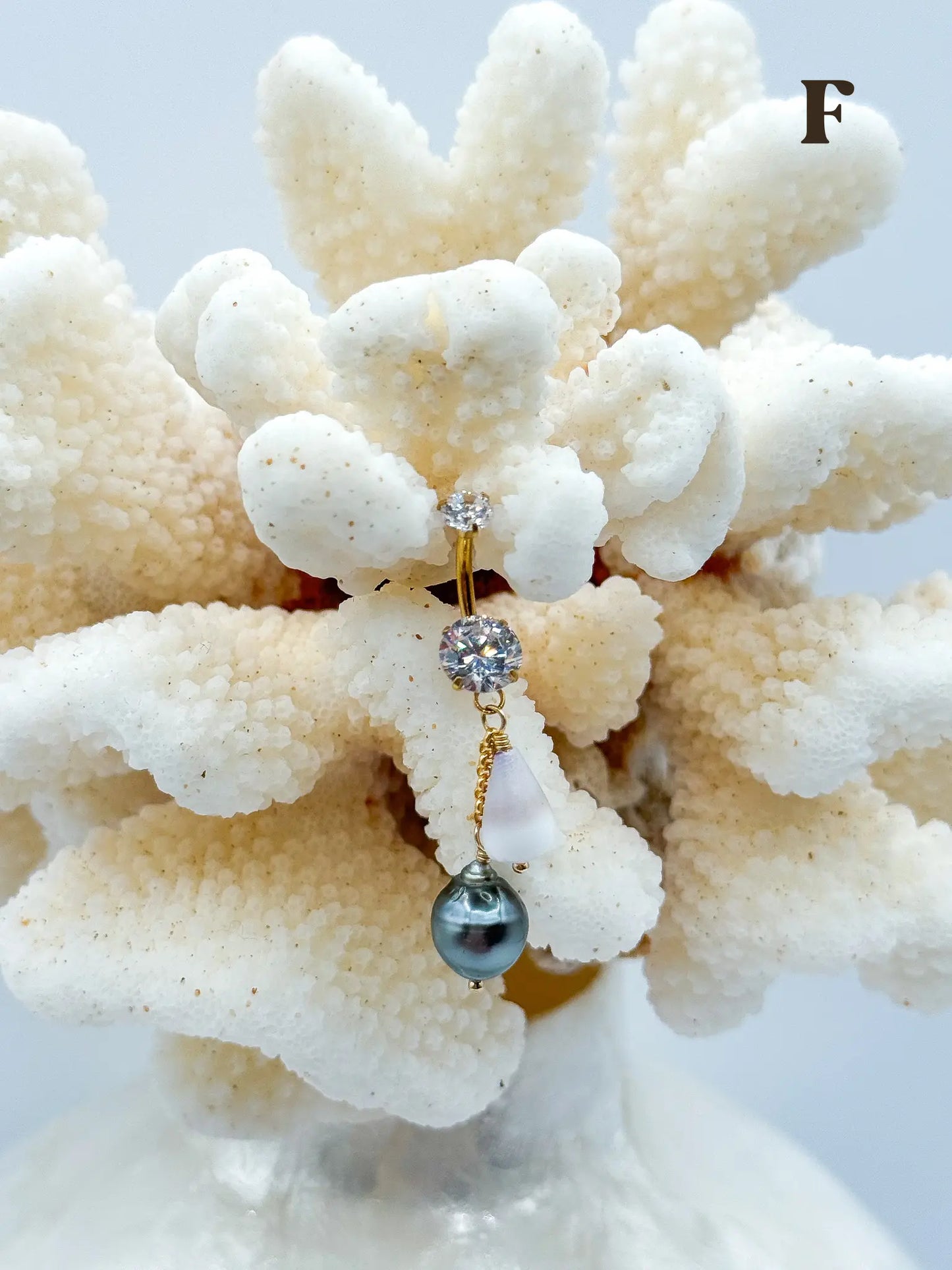 Shell PIKO RINGS Navea Maui