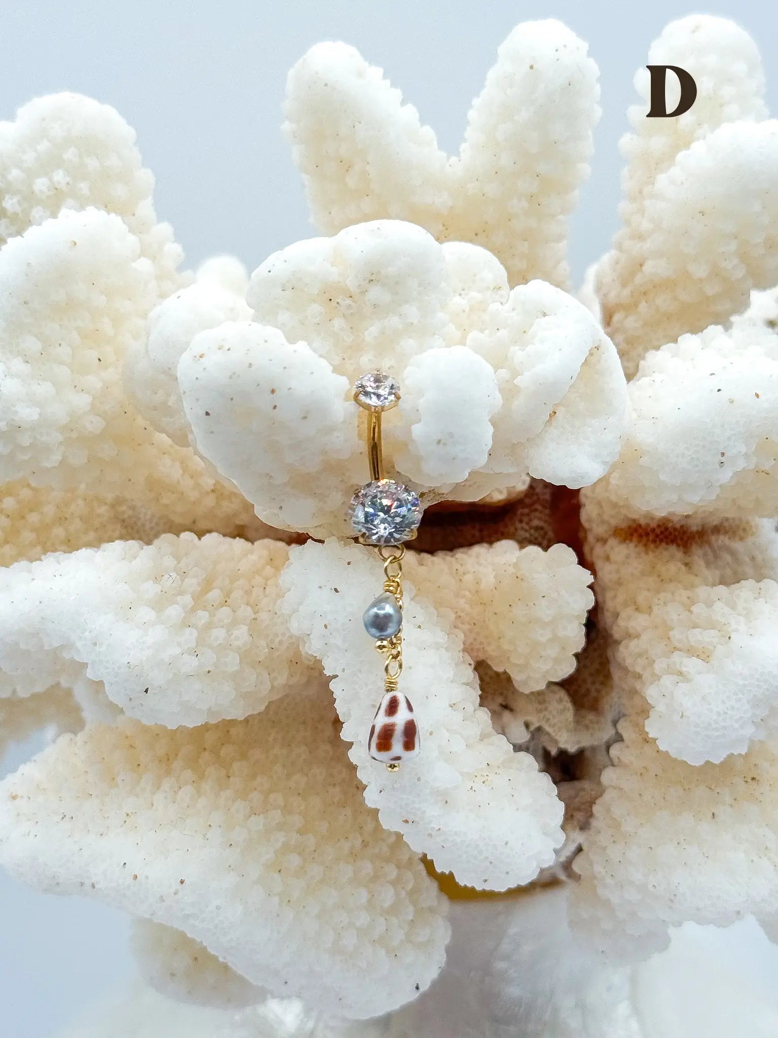 Shell PIKO RINGS Navea Maui