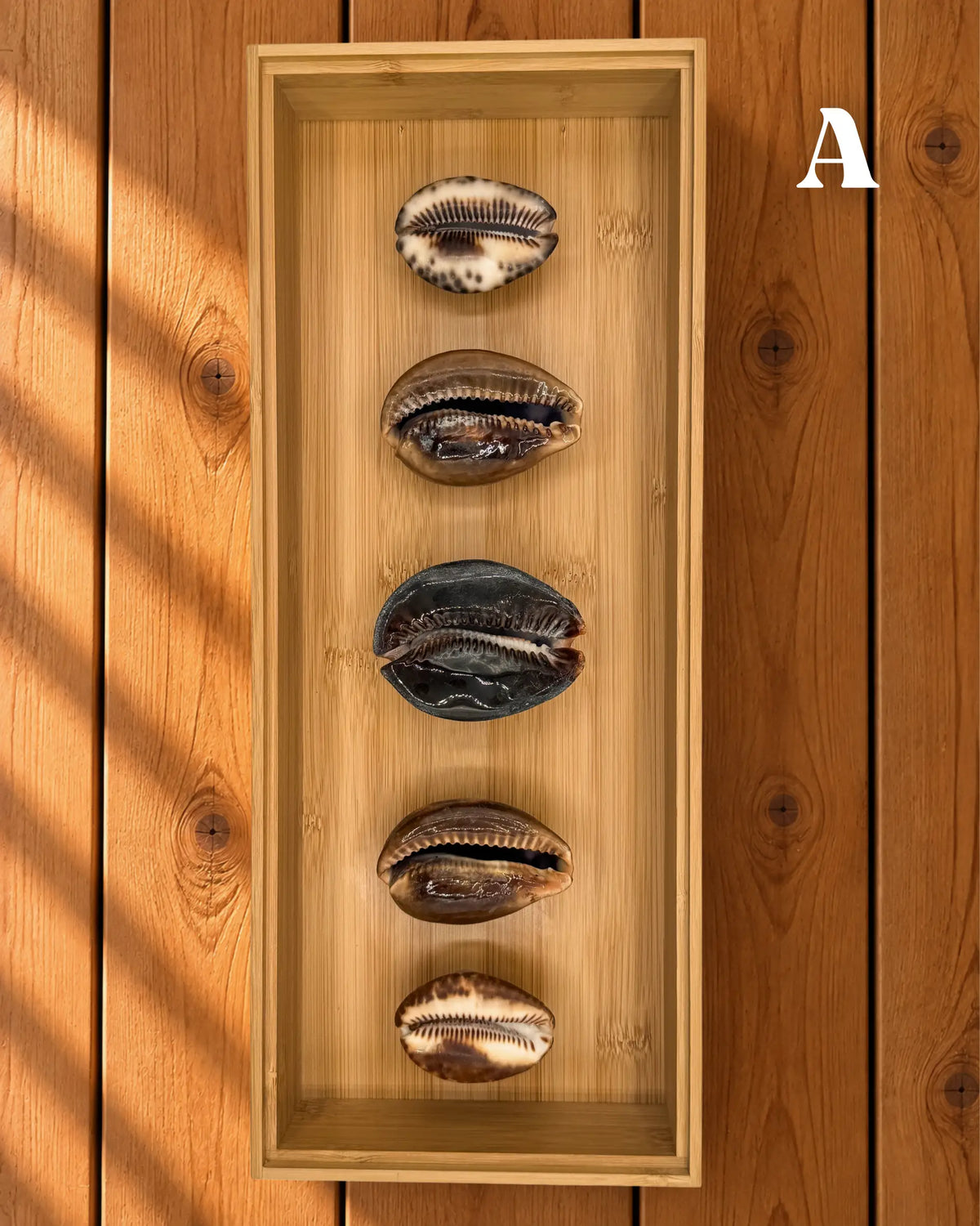 MELE O KE KAI WALL DECOR