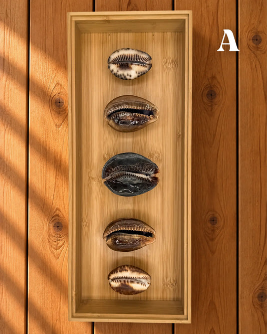 MELE O KE KAI WALL DECOR