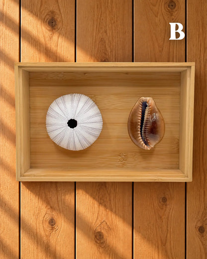 MELE O KE KAI WALL DECOR