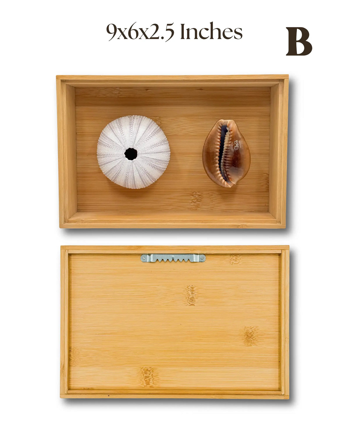 MELE O KE KAI WALL DECOR