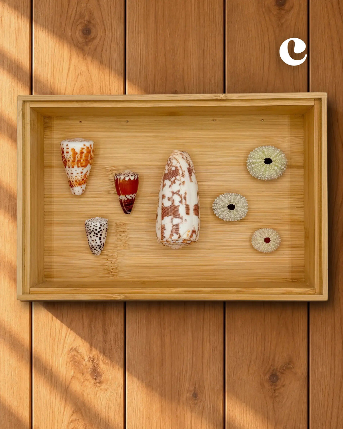 MELE O KE KAI WALL DECOR