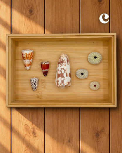 MELE O KE KAI WALL DECOR