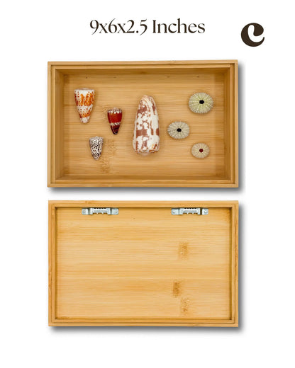 MELE O KE KAI WALL DECOR