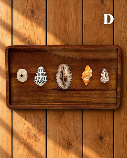 MELE O KE KAI WALL DECOR