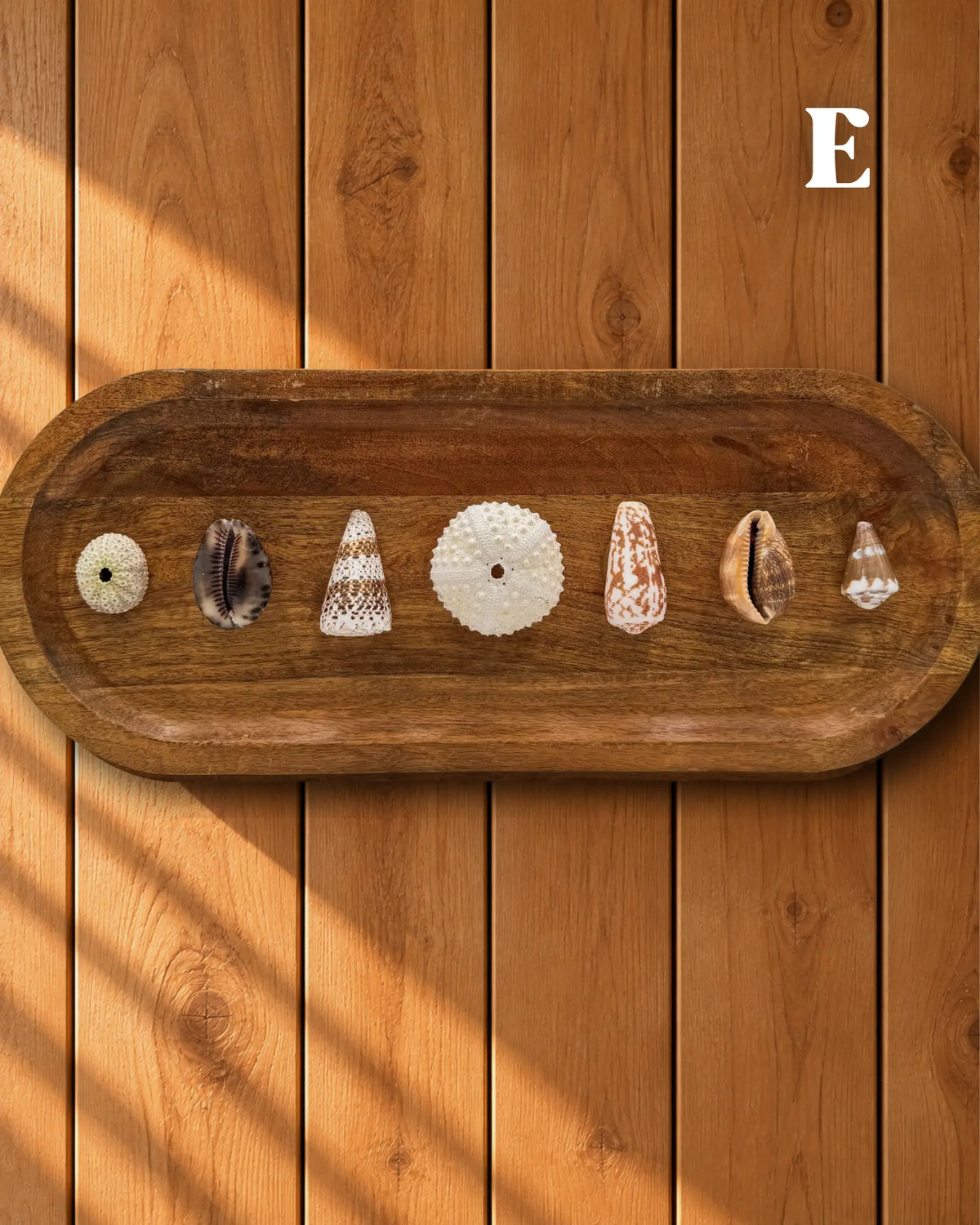 MELE O KE KAI WALL DECOR