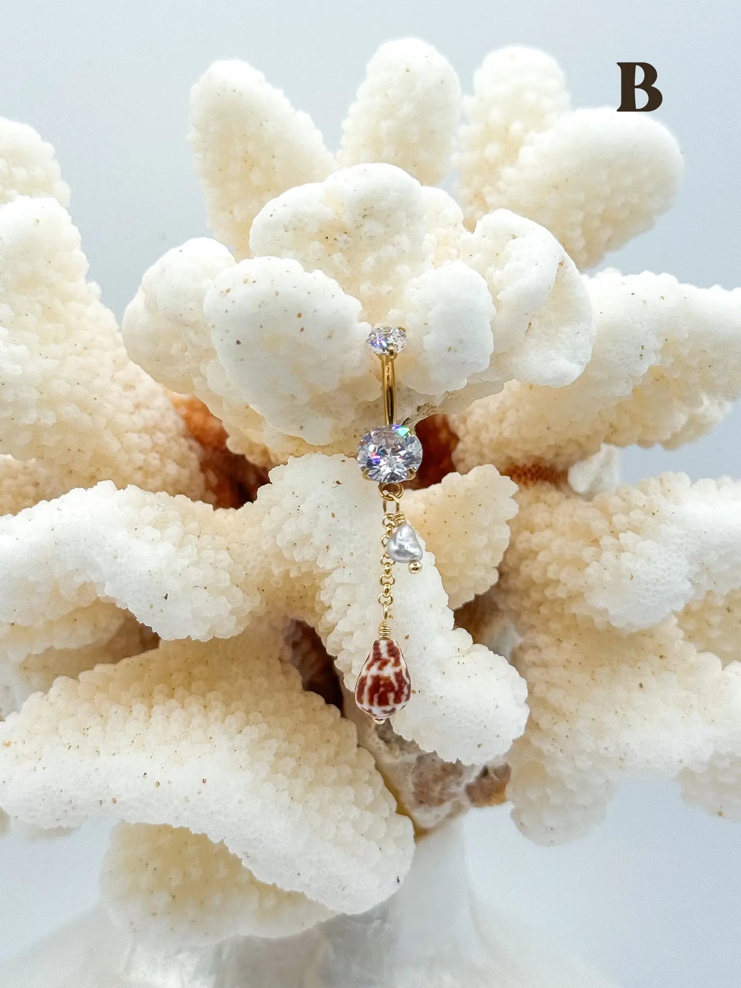 Shell PIKO RINGS Navea Maui