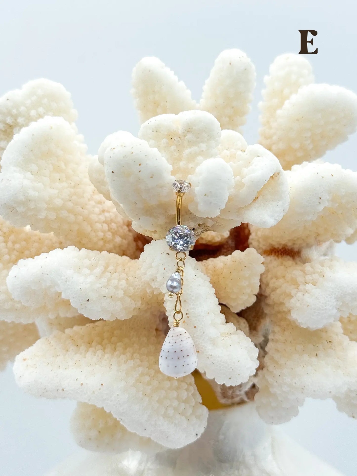 Shell PIKO RINGS Navea Maui