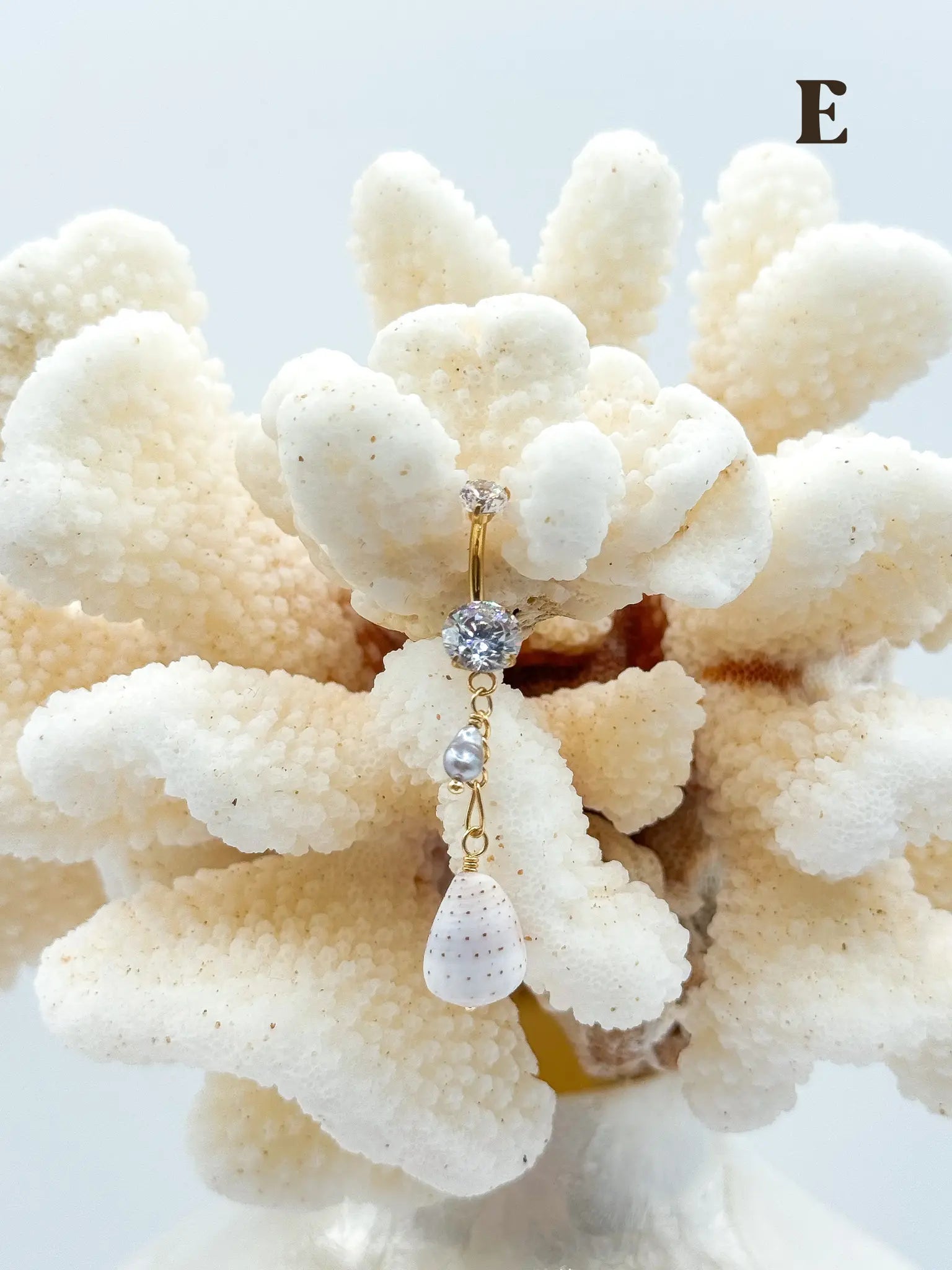 Shell PIKO RINGS Navea Maui