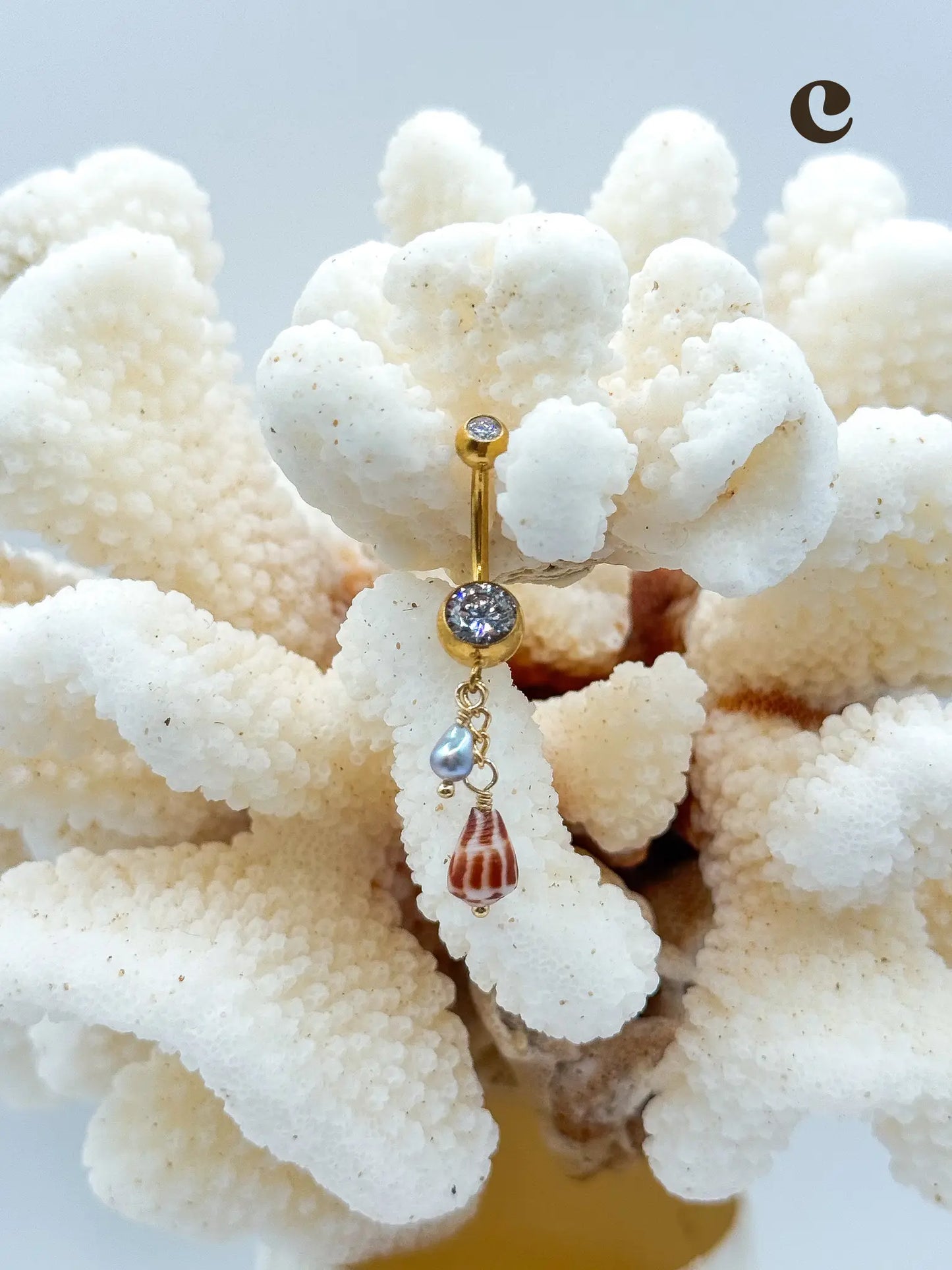 Shell PIKO RINGS Navea Maui