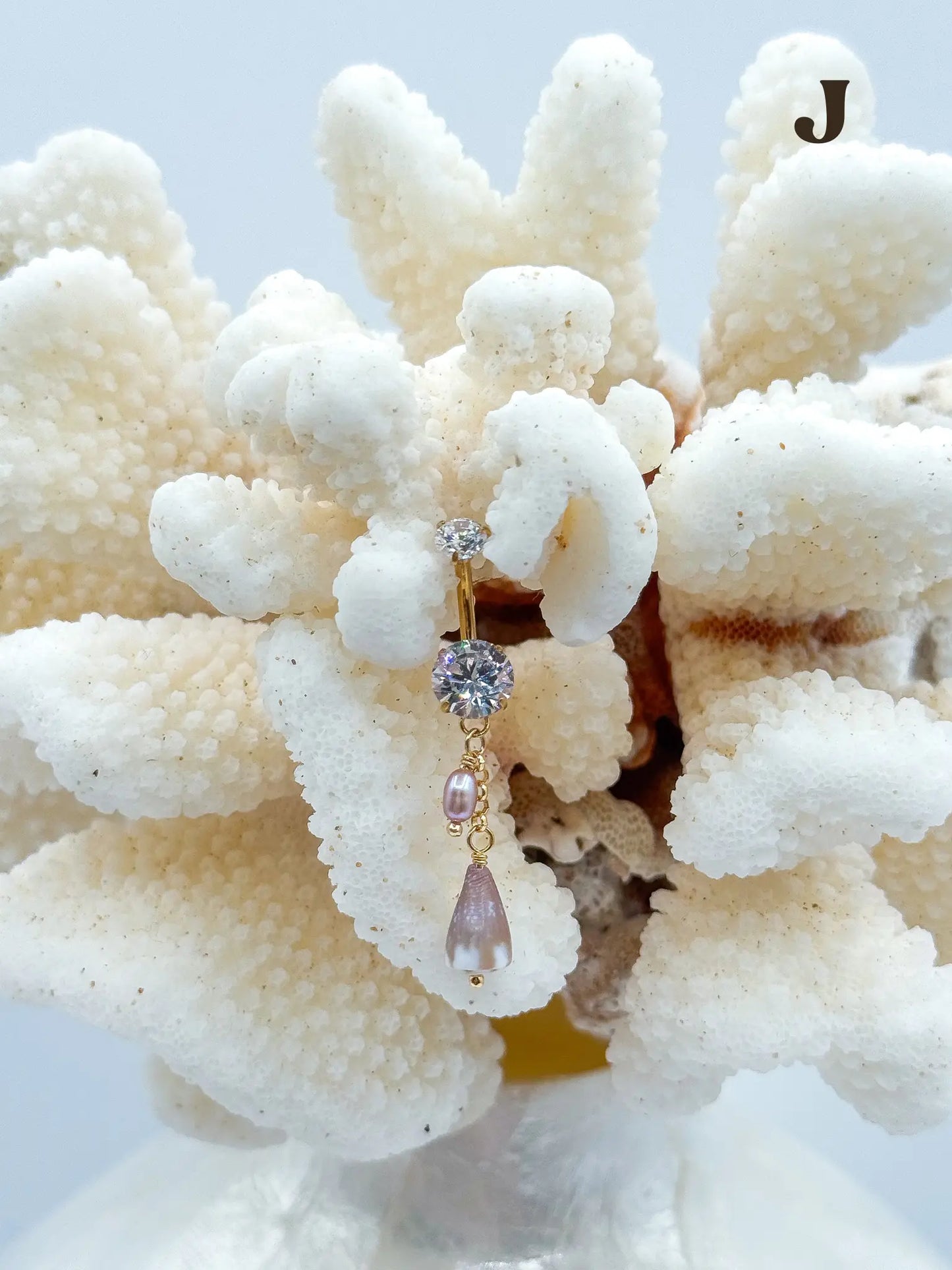 Shell PIKO RINGS Navea Maui