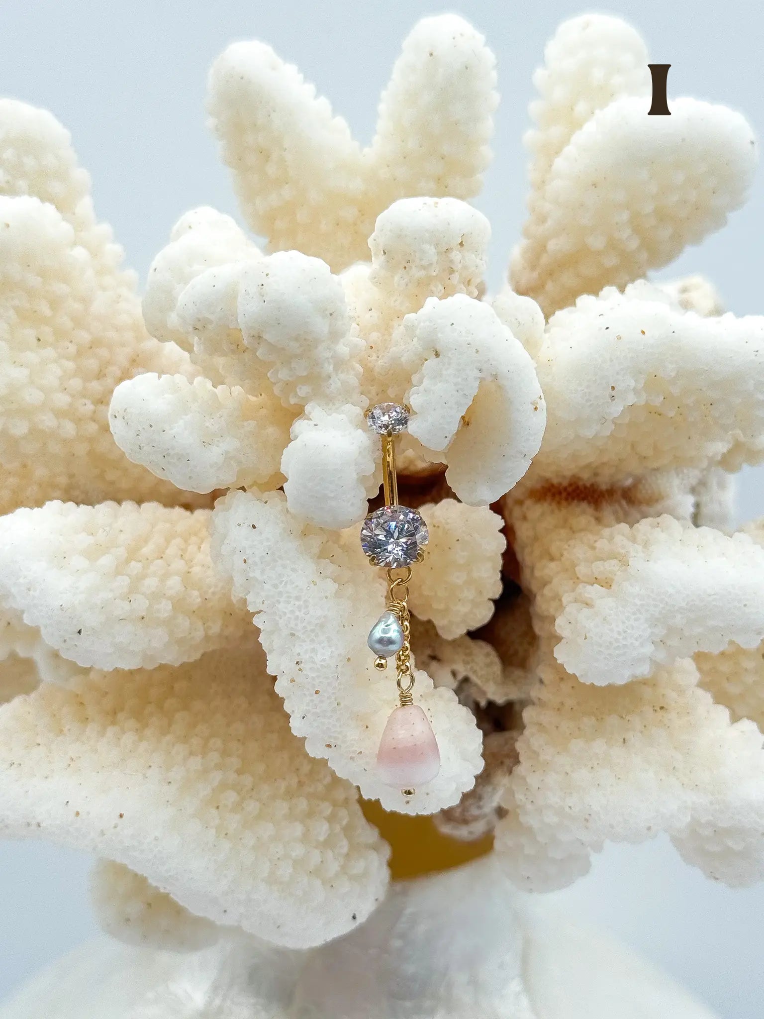 Shell PIKO RINGS Navea Maui