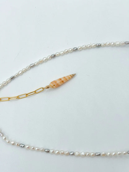 SWINDLED DRIFTER NECKLACE