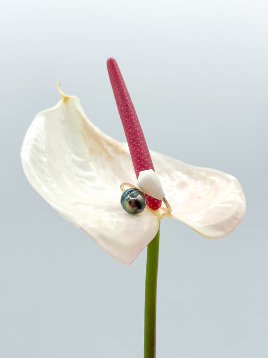 SHELL PEARL BYPASS RING Navea Maui