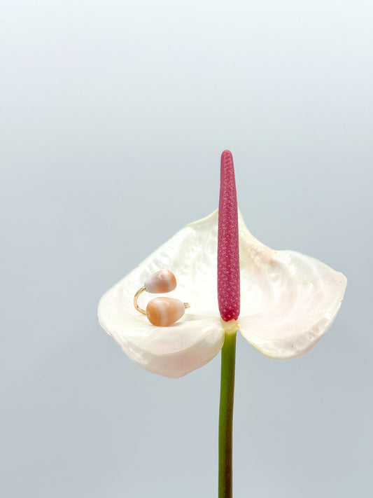 CONE SHELL BYPASS RING Navea Maui